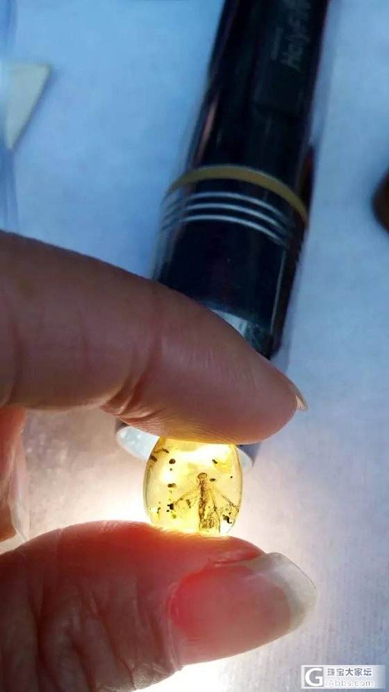 缅甸琥珀虫珀一堆批发_有机宝石