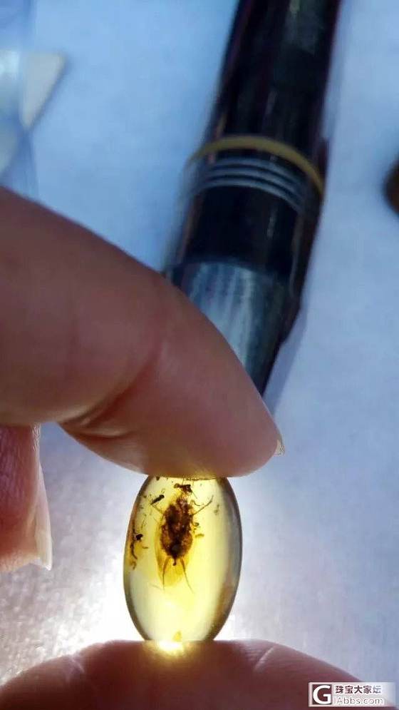 缅甸琥珀虫珀一堆批发_有机宝石