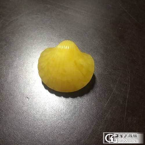 石虫作品 暴力鸡油黄蜜蜡贝壳_蜜蜡