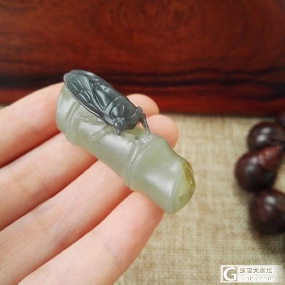 籽料黑白蝉 （今日优惠 包顺丰）_玉石