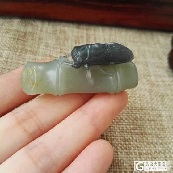 籽料黑白蝉 （今日优惠 包顺丰）_玉石