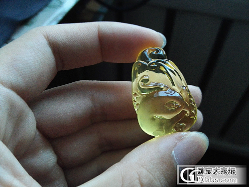 发点小东西，金珀小凤凰_琥珀
