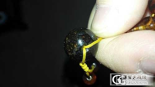 抚顺琥珀品种介绍篇_琥珀