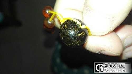 抚顺琥珀品种介绍篇_琥珀