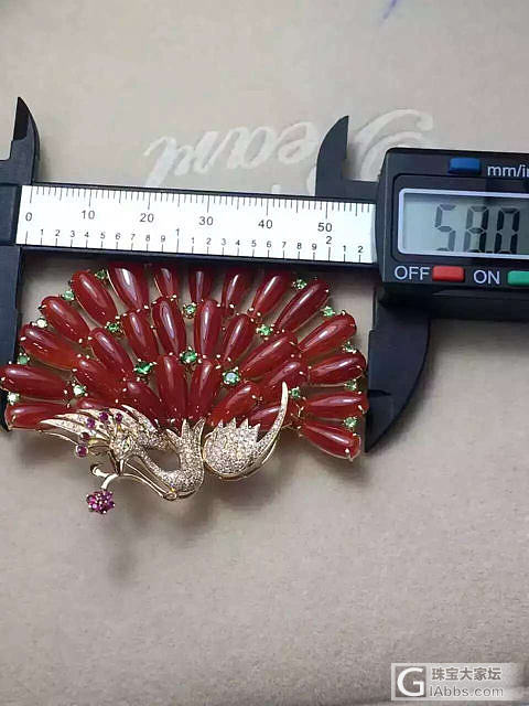 阿卡凤凰胸针_珊瑚