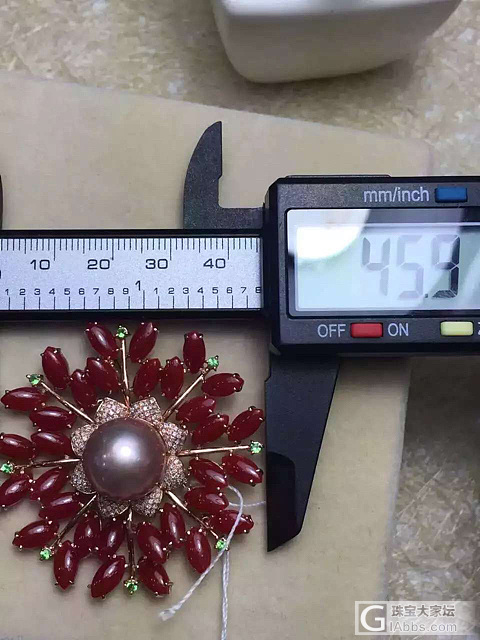 阿卡珊瑚胸针_珊瑚