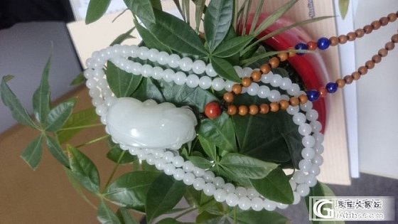 转42克籽料貔貅_玉石