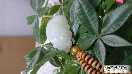 转42克籽料貔貅_玉石