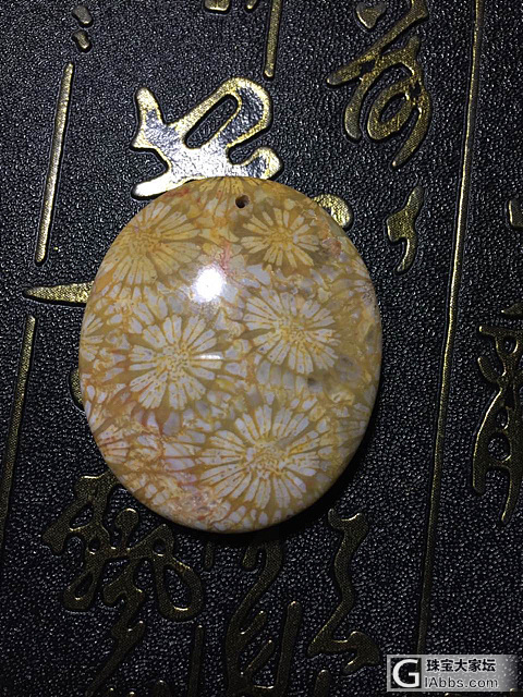 这个是珊瑚玉吗？_珊瑚玉