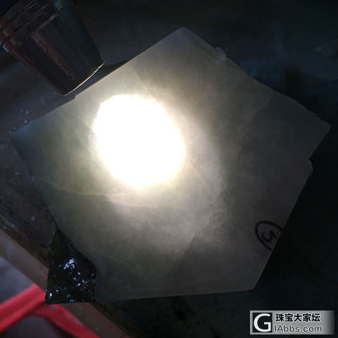 天天想着爆绿的老表_明料翡翠