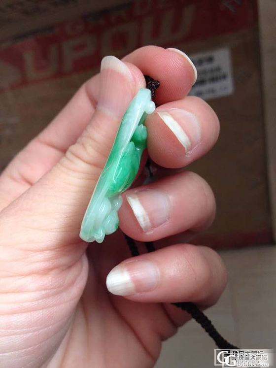 阳绿小鱼牌_翡翠