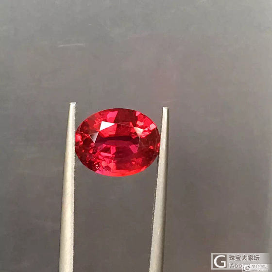 无烧鸽血红同等价位缅甸有棉奶油体，还是莫桑全净玻璃体,哪个更有吸引力._红宝石