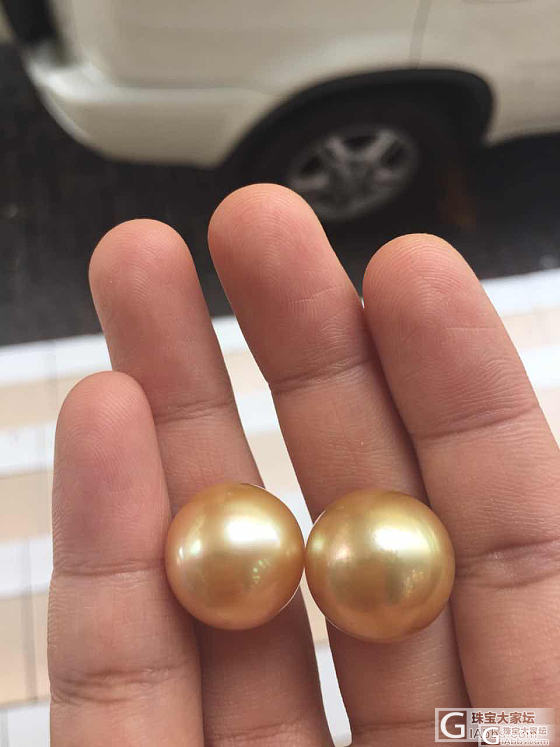 秀秀美丽滴胖猪宝宝们_珍珠