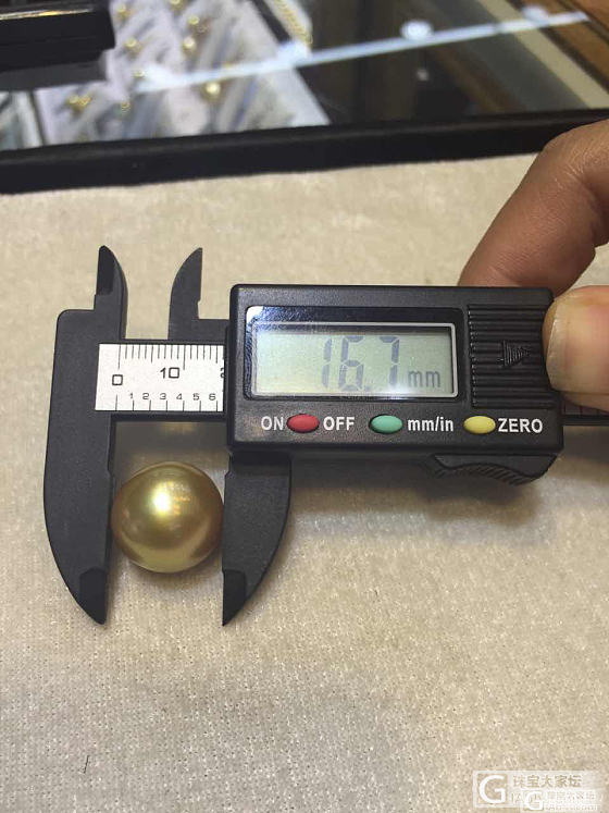 秀秀美丽滴胖猪宝宝们_珍珠