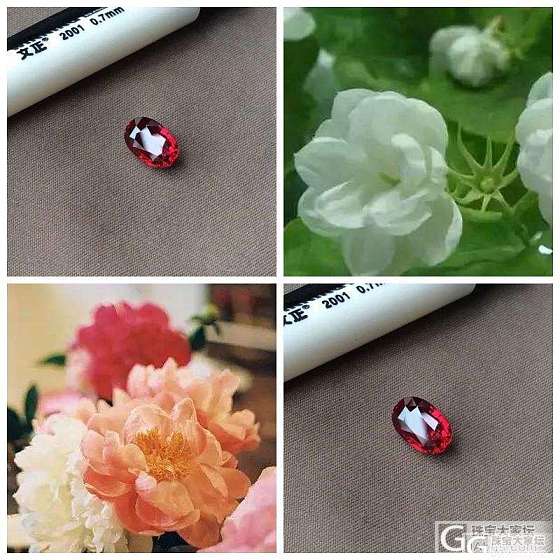 ##中颐天然无烧鸽血红##  2.53ct_莫桑石红宝石中颐彩色宝石