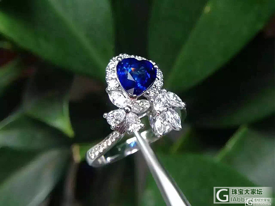 欣赏一下我的新蓝宝石戒指，太美了_蓝宝石