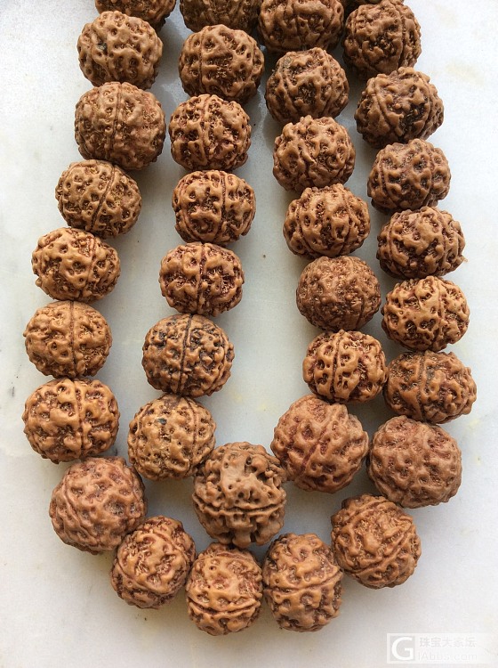 尼泊尔金刚菩提_菩提子