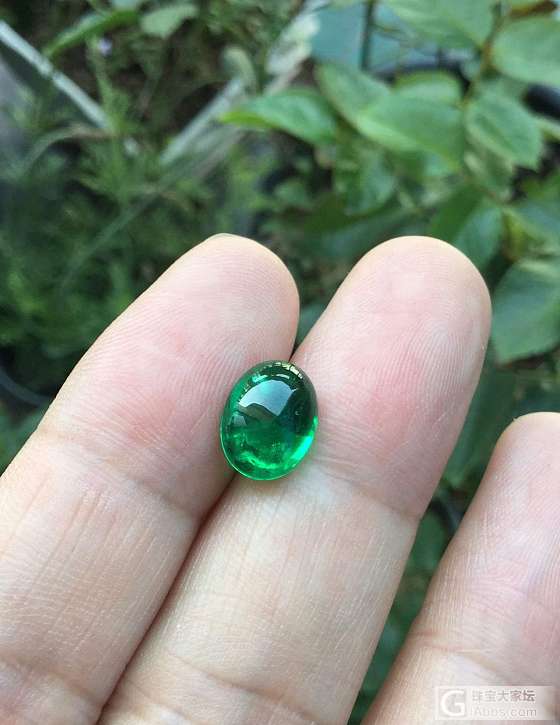 ##中颐天然素面祖母绿##  3.31ct_祖母绿中颐彩色宝石