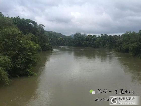 兰卡暴雨_产地斯里兰卡