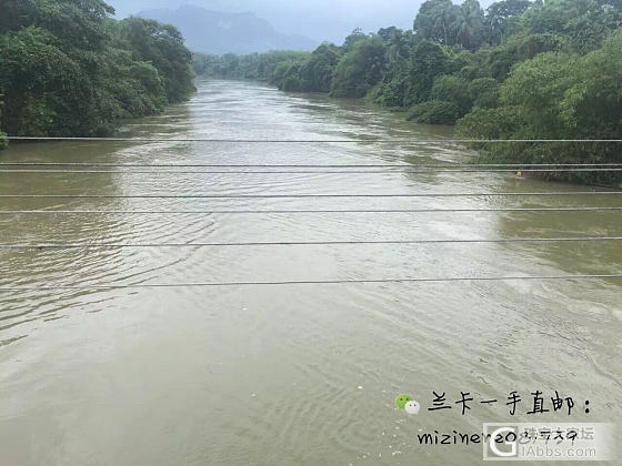 兰卡暴雨_产地斯里兰卡