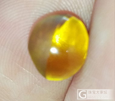 3.61的猫，眼线算是金线吗？_金绿宝石