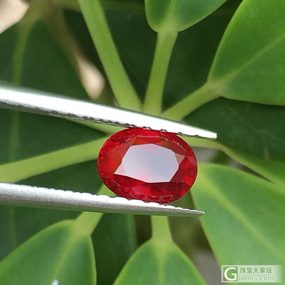 大家一直听说却没见过的莲花证书皇家红_红宝石