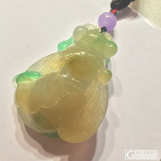 三彩蜜蜂🐝_翡翠