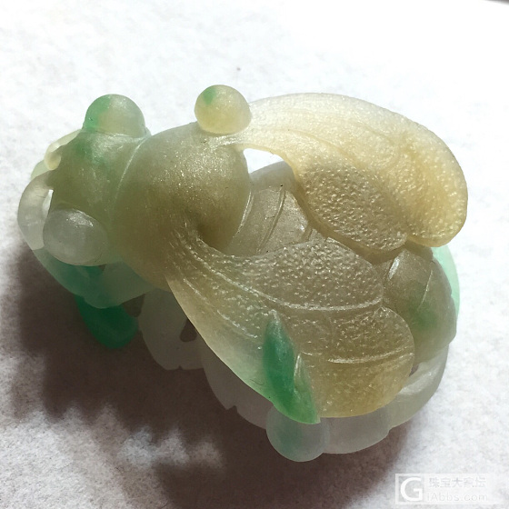 三彩蜜蜂🐝_翡翠