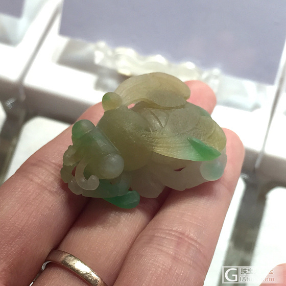 三彩蜜蜂🐝_翡翠
