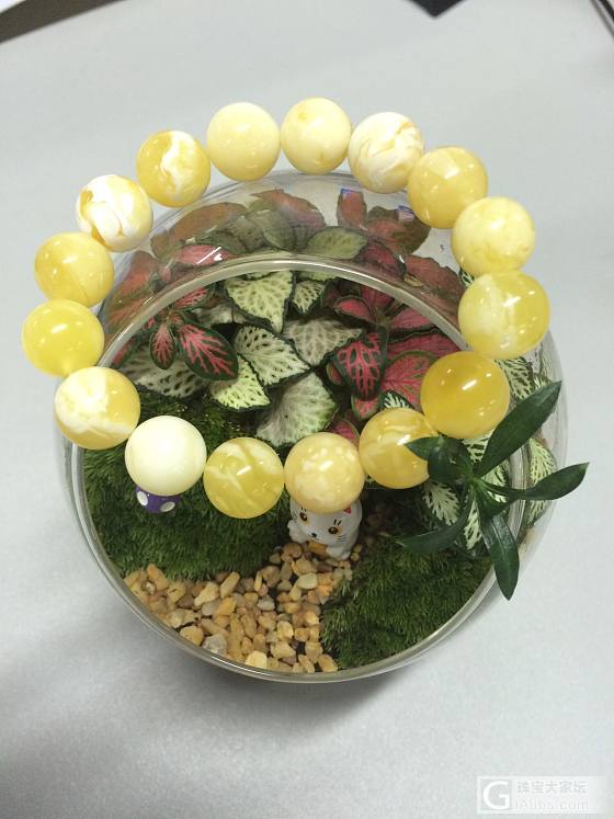 笑笑家白花蜜蜡手串还图_珠串蜜蜡