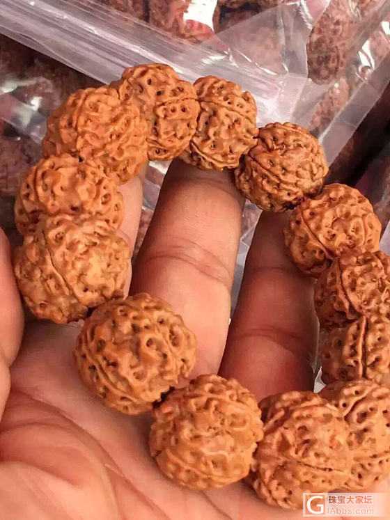 尼泊尔刚回来的金刚_菩提子