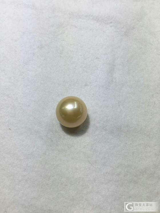 15mm，正圆无暇强光，天然色南洋金珠_珍珠