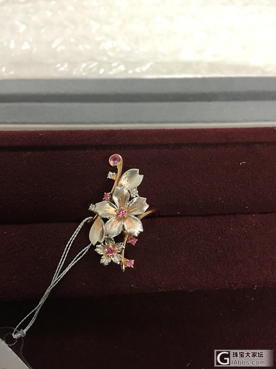 6月香港珠宝展4R218_有机宝石彩色宝石