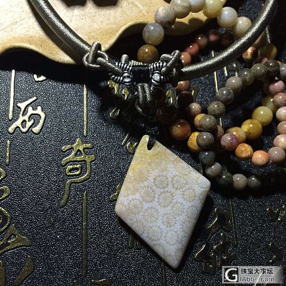 关于珊瑚玉的一切_珊瑚玉