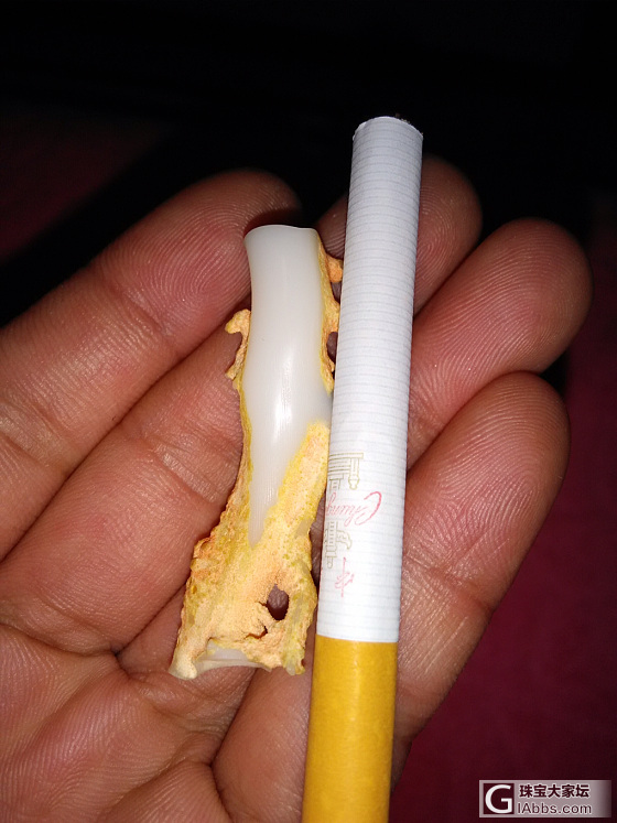 白色莫莫_珊瑚