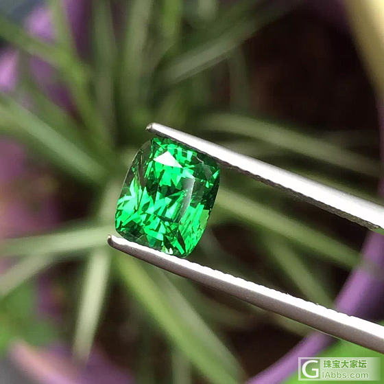 美美的沙沙。_沙弗莱