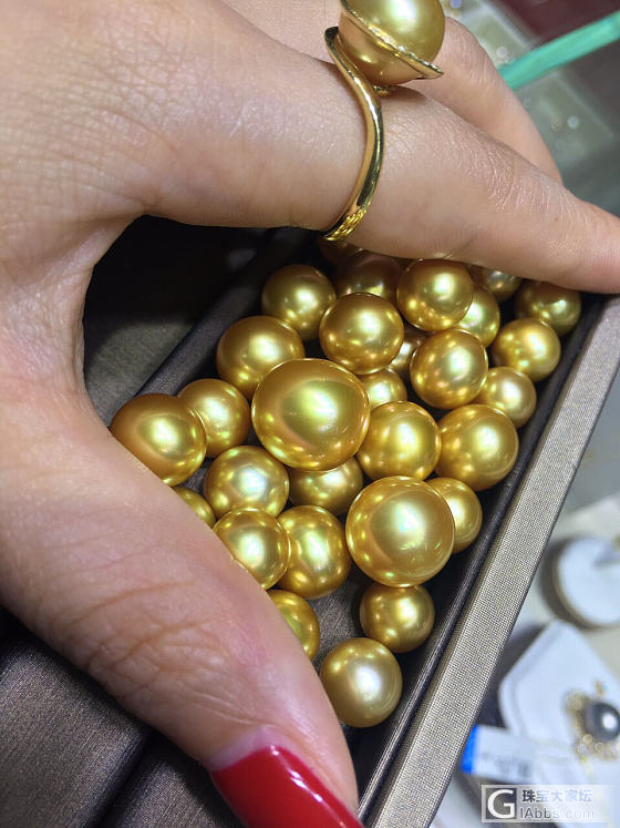 真正的极品天然浓金南阳金珠。手机拍的图_海水珍珠