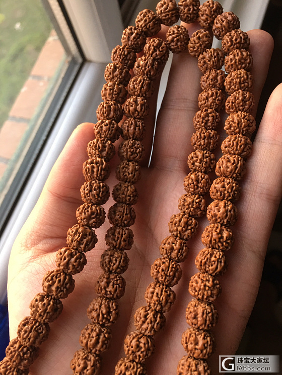 平头 闷尖南瓜 鬼龙纹，据说市面比纹路很少，望高手指点_菩提子