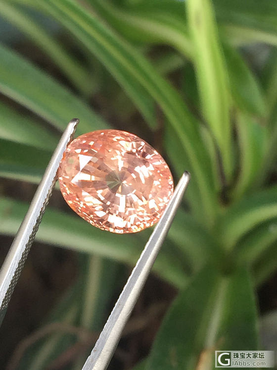 【皇家彩宝】一颗bling闪的帕帕拉恰🎈_彩色宝石蓝宝石刻面宝石