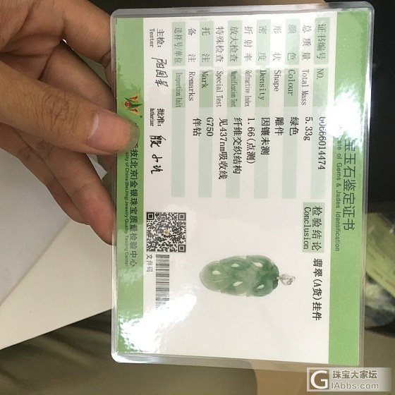 新手出闲置冰种叶子_翡翠