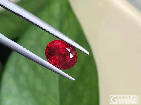 蜗牛先生在去约会的路途中_刻面宝石红宝石