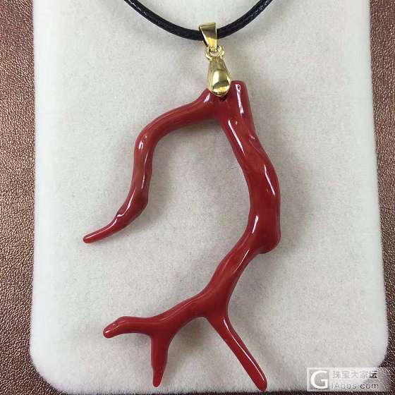 意大利沙丁珊瑚 沙丁枝吊坠_珊瑚