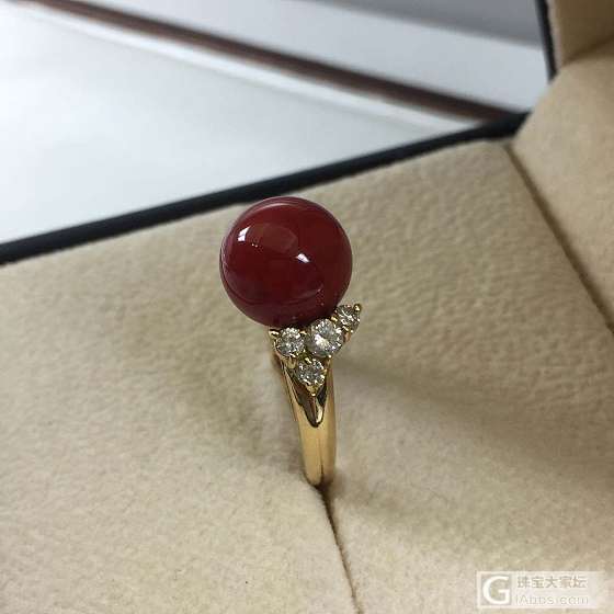 ​阿卡珊瑚戒指_戒指珊瑚