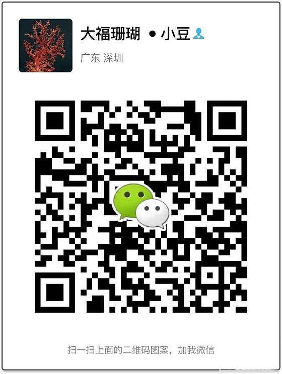 momo珊瑚雕花_珊瑚