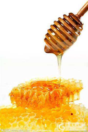 有需要野生蜂蜜的不_美食
