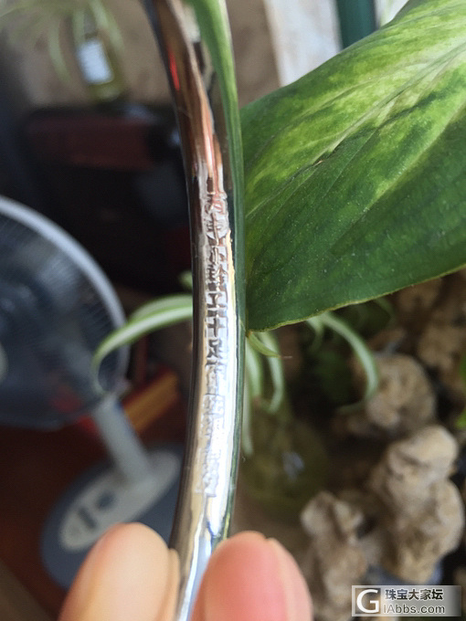 @嘟嘴鸭蛋 小珍牡丹到啦_银手镯