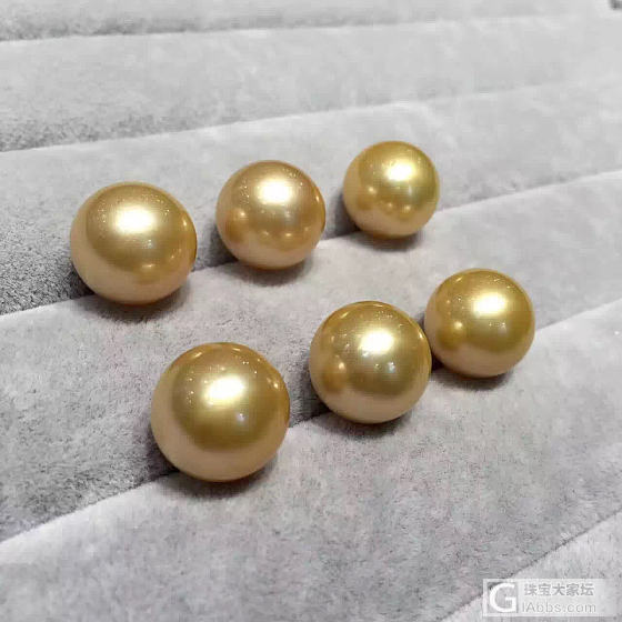 南洋金珠，中金15mm_海水珍珠