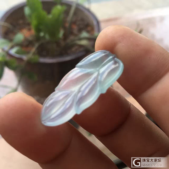 怎么发帖啊 愁人 翠友们指导个价格！冰叶子毛货_翡翠