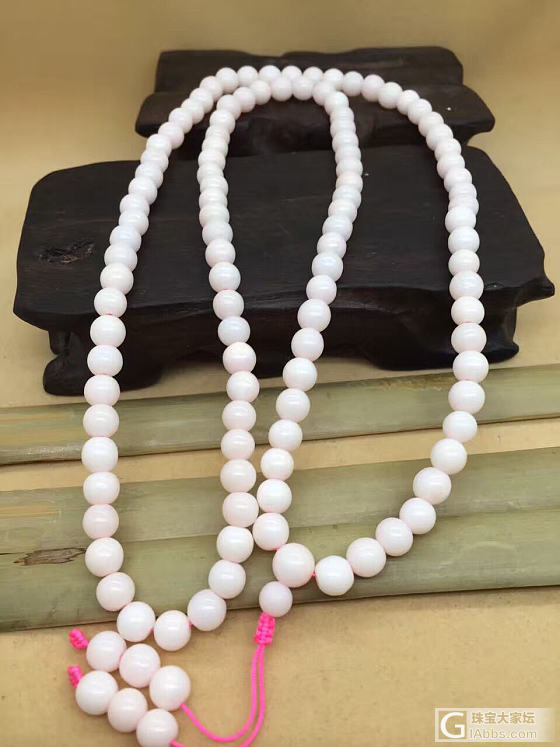 粉珊瑚，美不美？炎热夏天，带给你一丝清凉_珊瑚