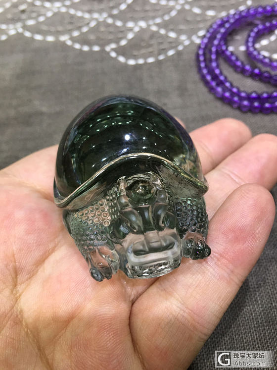 绿幽灵海龟_绿幽灵